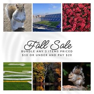 Fall Sale